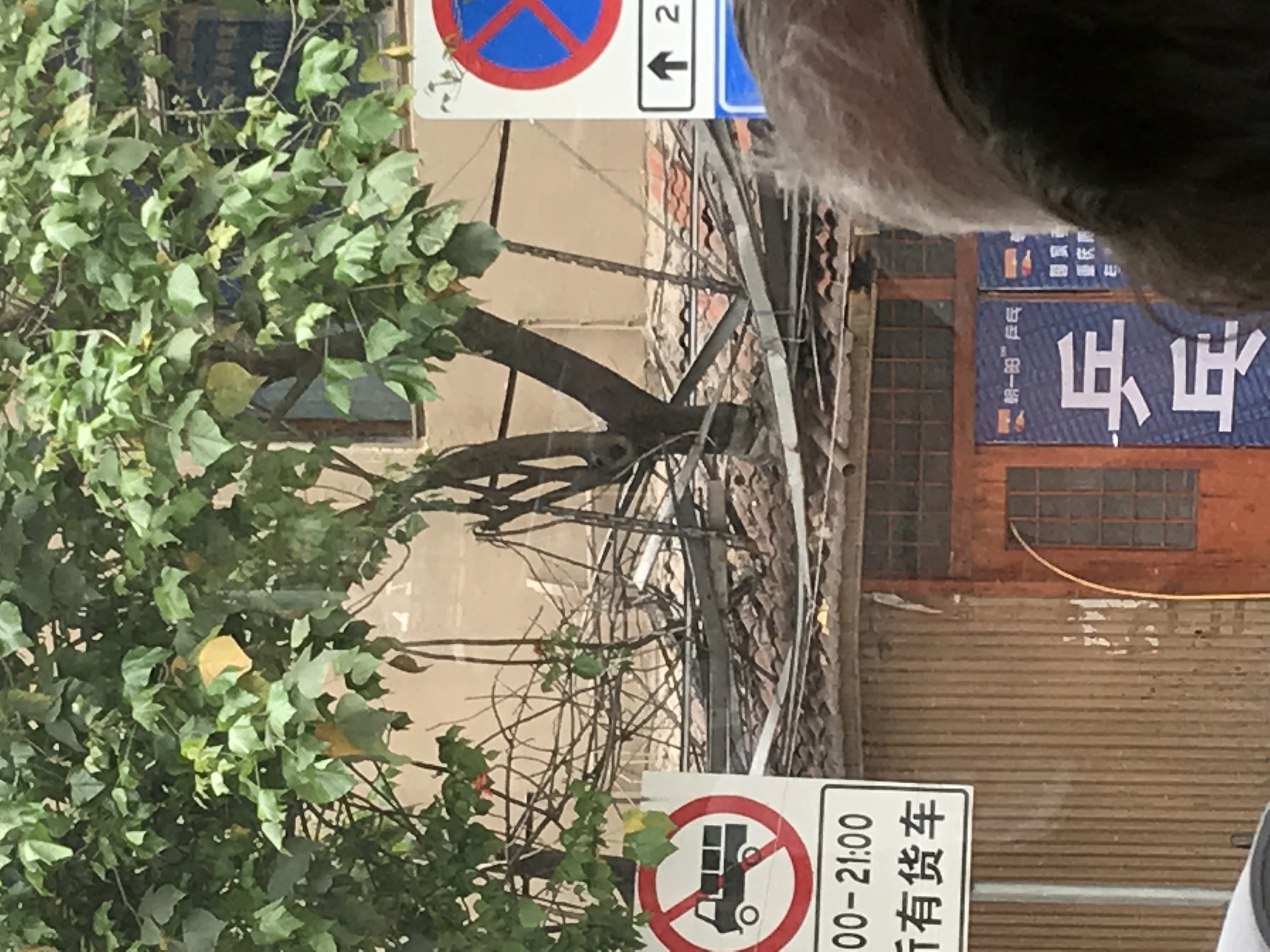 ./2018/03 - Viking China/15 - Chongqing/IMG_7033.JPG